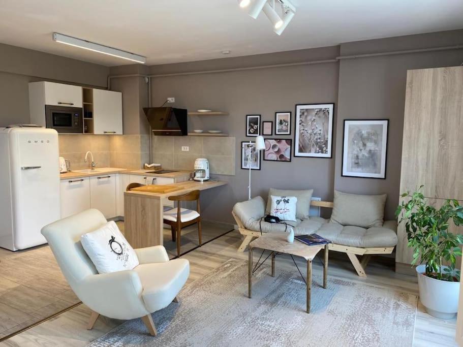 Shi Ti Junior Suite Iasi Exterior foto